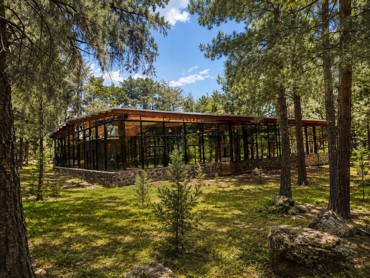 La Reserva - forest & events